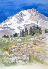 Mt. Hood Meadow
